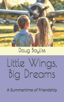 Little Wings, Big Dreams