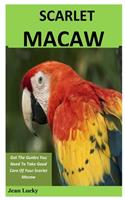 Scarlet Macaw