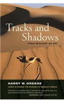 Tracks and Shadows