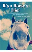 It's a Horse's Life!