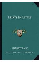 Essays in Little