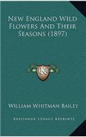 New England Wild Flowers and Their Seasons (1897)