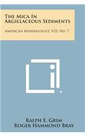 Mica in Argillaceous Sediments