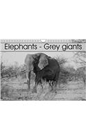 Elephants - Grey Giants 2018
