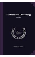 The Principles Of Sociology; Volume 1