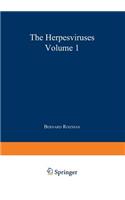 The Herpesviruses