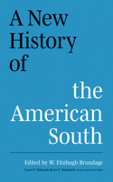 New History of the American South