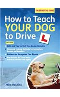 How to Teach your Dog to Drive