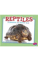 Reptiles: A Question and Answer Book