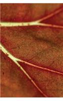 Autumn Leaf Veins Grid Notebook