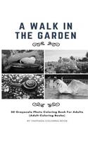 Walk in the Garden