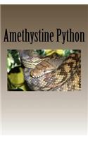 Amethystine Python: Notebook / Journal with 150 Lined Pages
