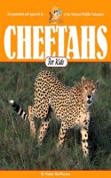 Cheetahs for Kids