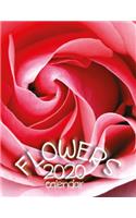 Flowers 2020 Calendar