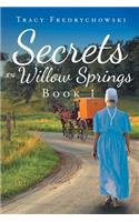 Secrets of Willow Springs