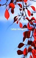 Cahier Hexagonal