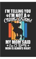 I'm telling you i'm not a Chinese Crested my mom said i'm a baby mom is always