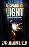 Spark of Light: Short Stories to Brighten the Darkness