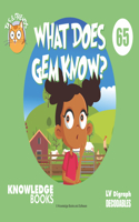 What Does Gem Know?