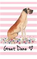 Great Dane