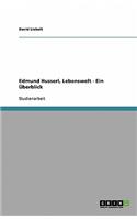 Edmund Husserl, Lebenswelt - Ein Überblick
