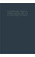 Anatomie Und Embryologie