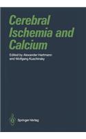 Cerebral Ischemia and Calcium