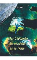 Das Wunder des Lebens ist in Dir: von der Freude der Selbsterkenntnis(German)