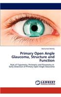 Primary Open Angle Glaucoma, Structure and Function