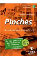 Pinches del SAS. Temario Comun y Test