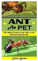 Ant as Pet