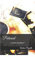Polaroid: (e qualche breve filmato)