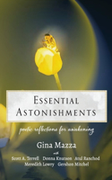 Essential Astonishments