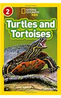 Turtles and Tortoises