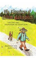 The Adventures of William Walkingstick