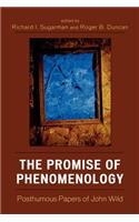 The Promise of Phenomenology
