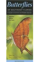 Butterflies of Southeast Florida: A Guide to Common & Notable Species