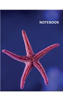 College Ruled Notebook: Sea stars phylum Gorgeous Student Composition Book Daily Journal Diary Notepad for research on starfish tattoo meaning
