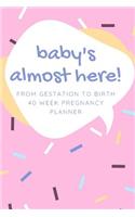 Baby's Almost Here! From Gestation To Birth 40 Week Pregnancy Planner
