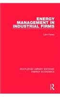 Energy Management in Industrial Firms