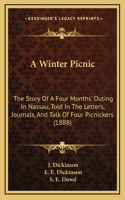 A Winter Picnic