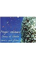 Magic Colours Sharm El Sheikh Corals and Fishes 2018