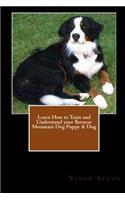 Learn How to Train and Understand Your Bernese Mountain Dog Puppy & Dog