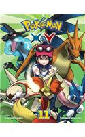 Pokémon X-Y, Vol. 11