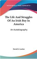 The Life And Struggles Of An Irish Boy In America
