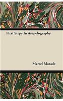 First Steps In Ampelography