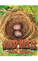 Bird Nests