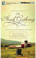 An Amish Gathering