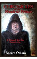 Chronicles Of The Shadow Prince