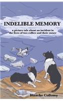 Indelible Memory: (a picture tale about an incident in the lives of two collies and their owner)